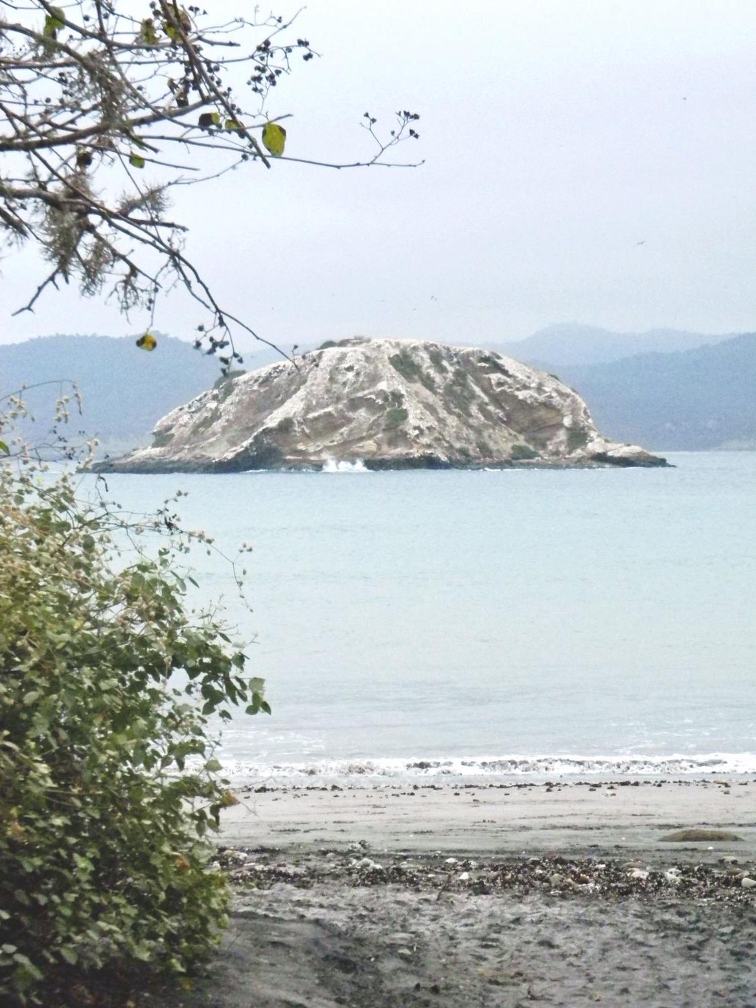 Hospedaje Algarrobo Machalilla Buitenkant foto